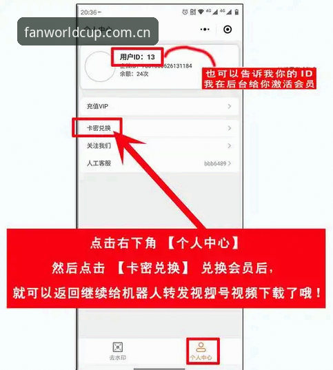 揭秘世界杯APP登录使用指南：新手也能快速上手的完整攻略